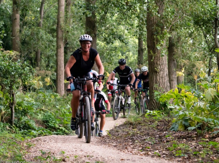 mountainbike d